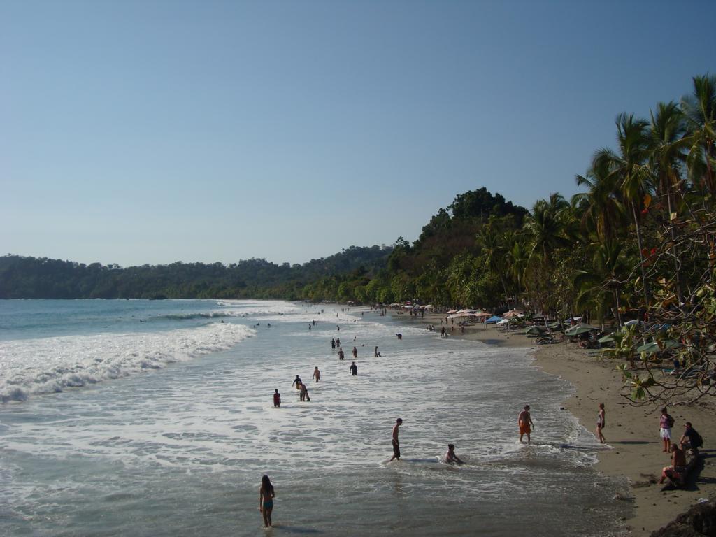 The Elephant Castle Front Penthouse Manuel Antonio